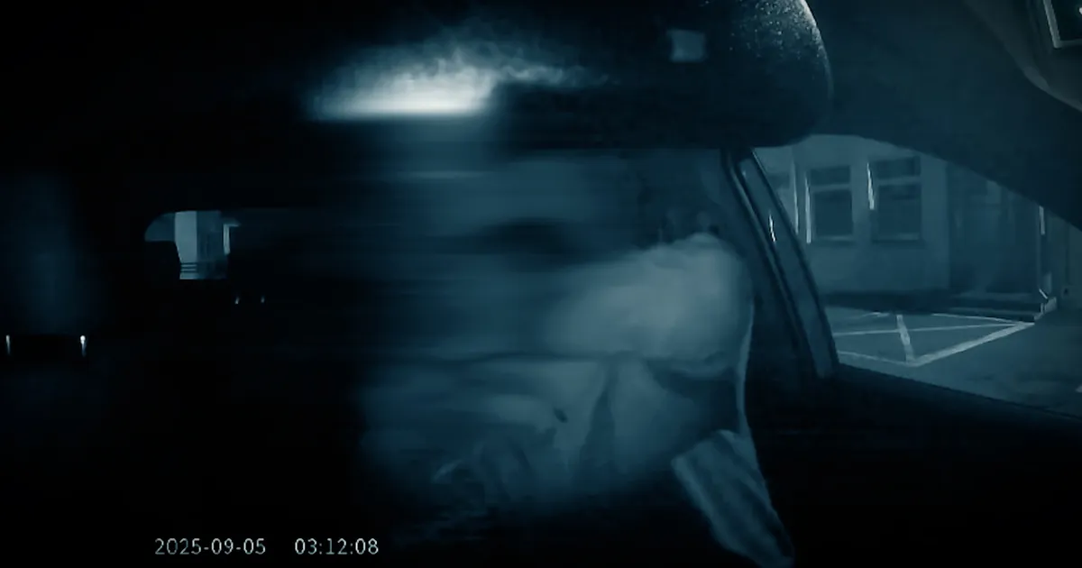 ESMASPÄEVAL «KUUUURIJAS» ⟩ Telefonikaabliga taksojuhti kägistanud mees: hoopis mina olen ohver