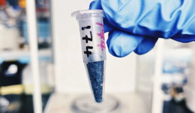 Keegi elas siin juba üle kolme miljardi aasta tagasi, näitavad iidsed jäljed