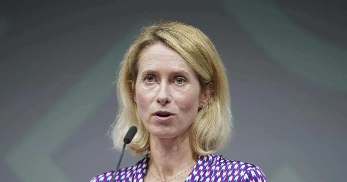 NÄDALA NÄGU ⟩ Kaja Kallase langevad aktsiad - Arvamus