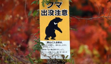 Jaapanis ründas karu avalikku käimlat kasutanud meest