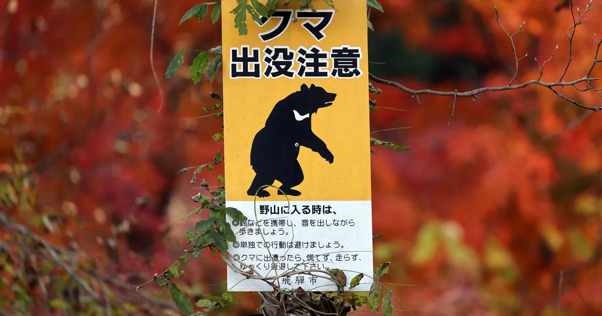 Jaapanis ründas karu avalikku käimlat kasutanud meest