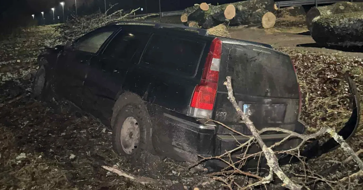 USKUMATU EBAÕNN ⟩ Auto kihutas tee kõrvalt maha raiutud puu juppidesse