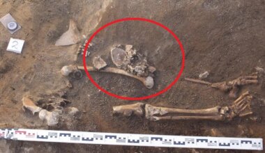 Maha raiutud pead asfaldi all