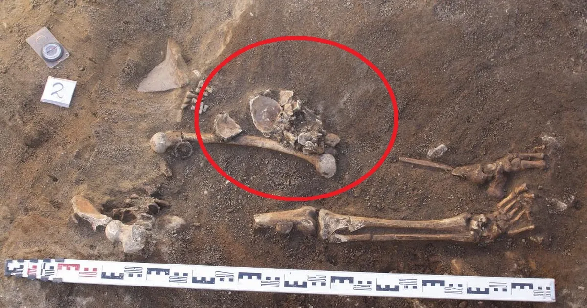 Maha raiutud pead asfaldi all