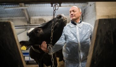 Maaülikooli instituudi direktor Toomas Tiirats politsei kahtlustusest: mina endal süüd ei näe