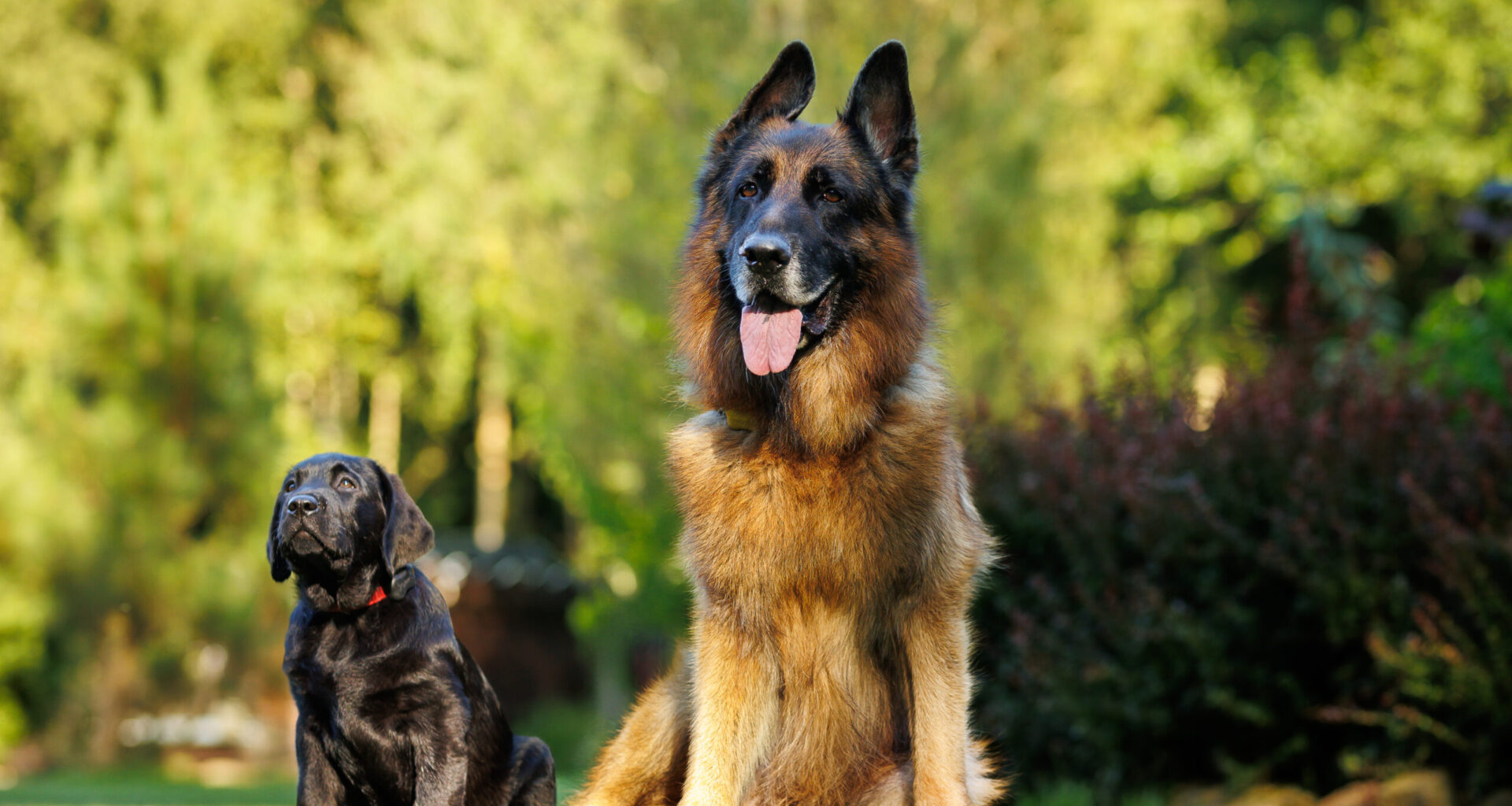 Kas pärakupaunade tühjaks pigistamine on ikka hea mõte?