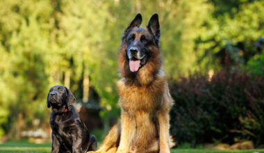 Kas pärakupaunade tühjaks pigistamine on ikka hea mõte?
