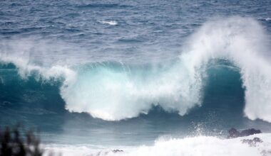 Mida enam turiste, seda rohkem õnnetusi. Tenerife rannatragöödia ajendab hotelle rohkem pingutama