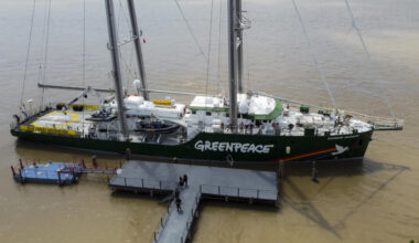 Rohelised kaitsjad või majanduskasvu pidurdajad: kuidas Greenpeace ja WWF takistavad Euroopa tööstuslikku arengut