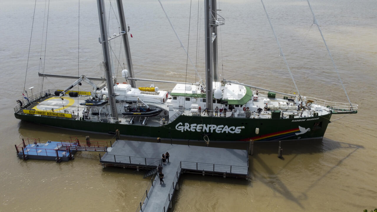 Rohelised kaitsjad või majanduskasvu pidurdajad: kuidas Greenpeace ja WWF takistavad Euroopa tööstuslikku arengut