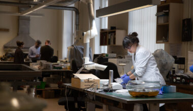 Põhjamaised kütid-korilased lõid keerukaid ühiskondi ammu enne põllupidamist | Ajalugu