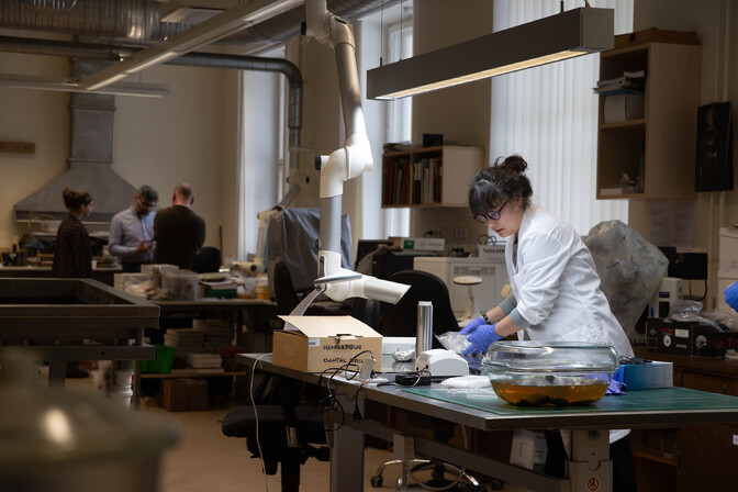 Põhjamaised kütid-korilased lõid keerukaid ühiskondi ammu enne põllupidamist | Ajalugu