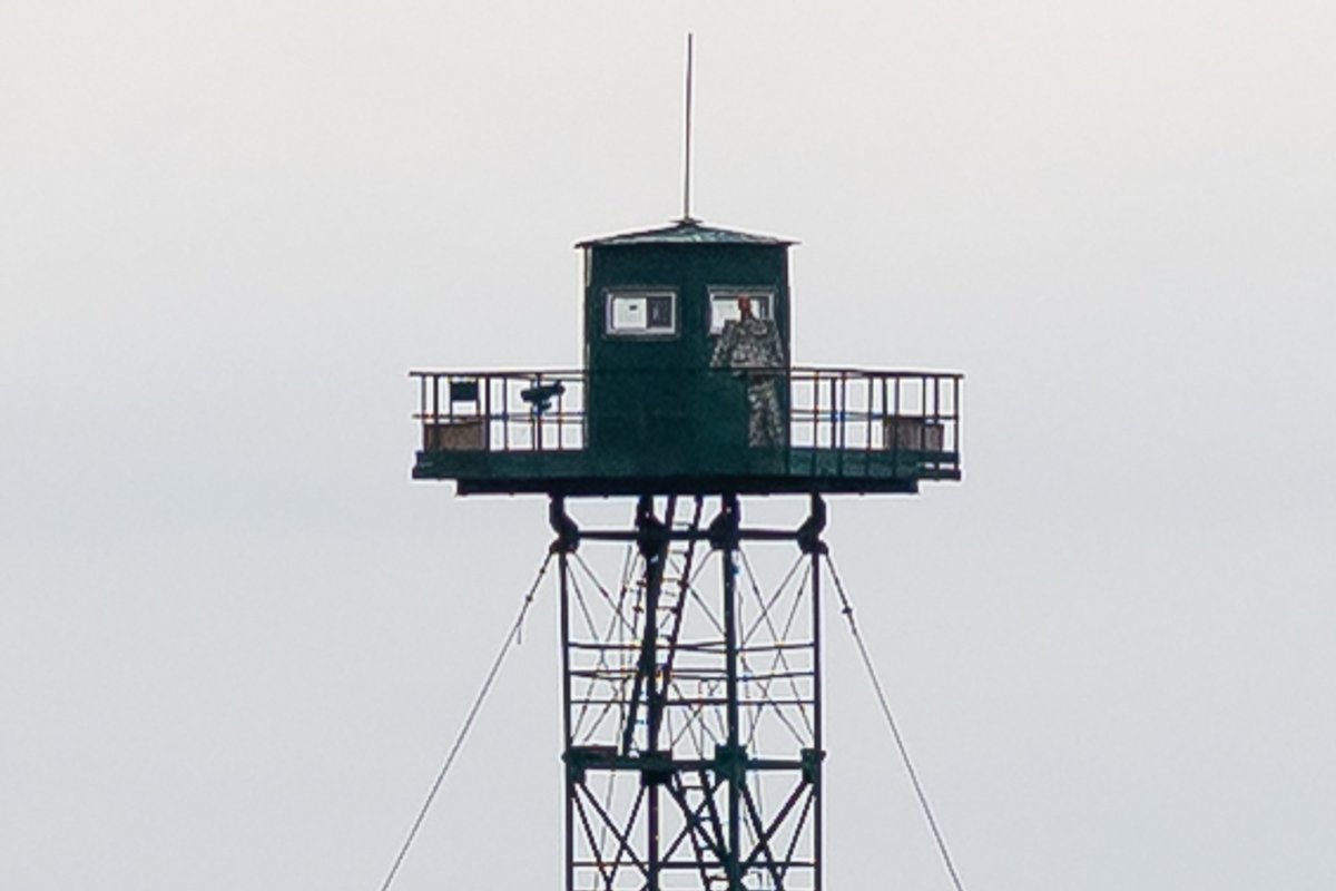 FOTOD | Fotograaf tabas piiril kentsaka stseeni: Vene vaatetorni valvas topis