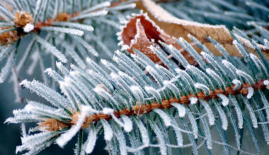 Novembri algus tuleb soe, kuu keskel on aga pakast oodata