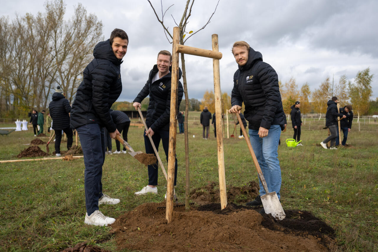 Miljon puud – tasutud miljarditega võlafondist. Berliin istutab end pankrotti