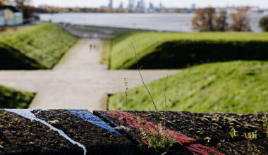 Vene kodanike arv Eestis on viie aastaga kümnendiku võrra vähenenud | Eesti