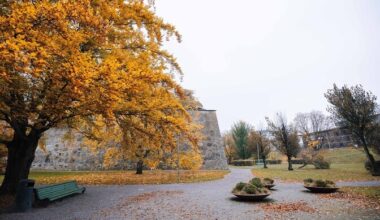 Tallinn otsib Hirvepargile pimedust väärtustavat valguslahendust | Eesti