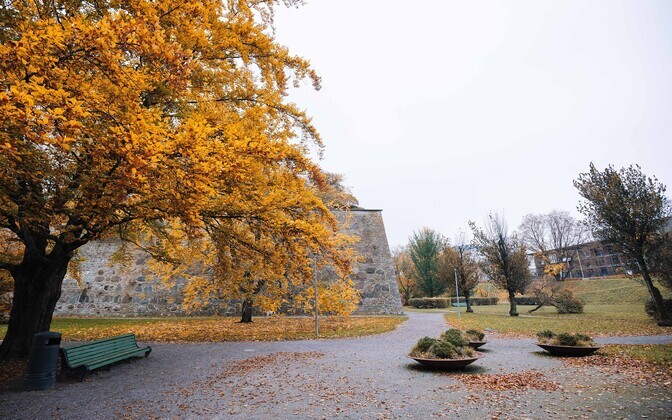 Tallinn otsib Hirvepargile pimedust väärtustavat valguslahendust | Eesti