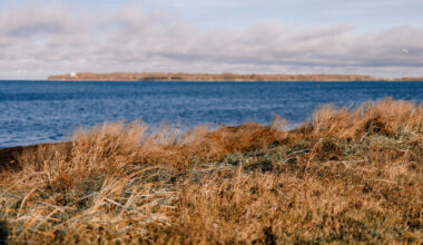 Mereäärsete kinnistute omanikel on üha keerulisem piirangute tõttu oma maal ehitada | Eesti