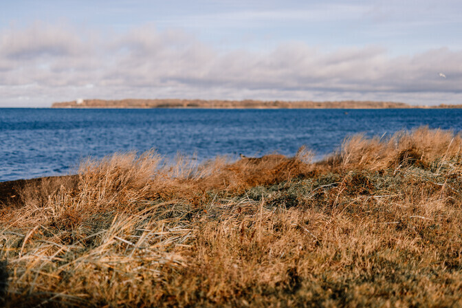 Mereäärsete kinnistute omanikel on üha keerulisem piirangute tõttu oma maal ehitada | Eesti