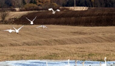 Pühapäeval tuleb kuni seitse kraadi sooja