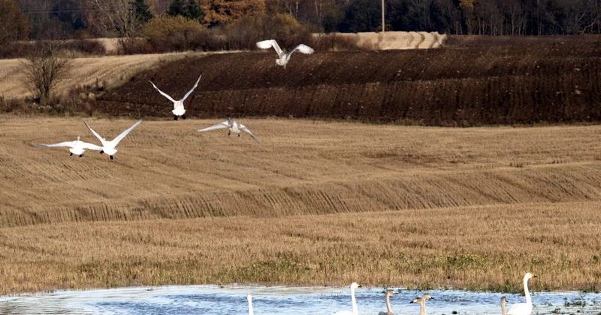 Pühapäeval tuleb kuni seitse kraadi sooja