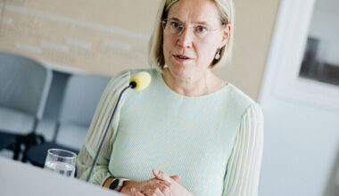 Madise: seadusemuudatus võimaldab elektrimüüjatel põhjendamatult hinda tõsta | Majandus