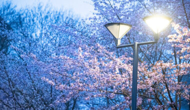 November toob külmema ilma ja tõstab kütmisega seotud elektrinõudlust | Majandus