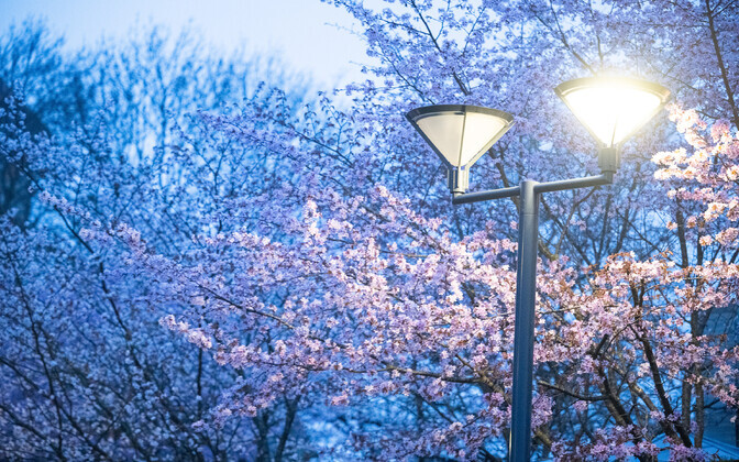 November toob külmema ilma ja tõstab kütmisega seotud elektrinõudlust | Majandus