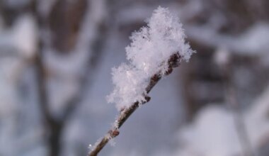 Millal on oodata miinuskraade ja lörtsi? Sünoptik annab vastuse