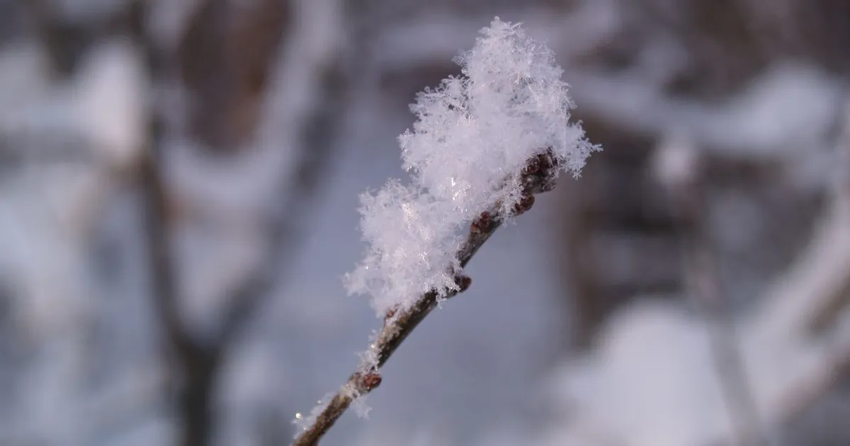 Millal on oodata miinuskraade ja lörtsi? Sünoptik annab vastuse