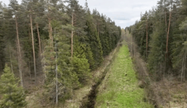 Kikepera looduskaitsealal algab kuivenduskraavide sulgemine | Eesti