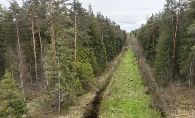 Kikepera looduskaitsealal algab kuivenduskraavide sulgemine | Eesti