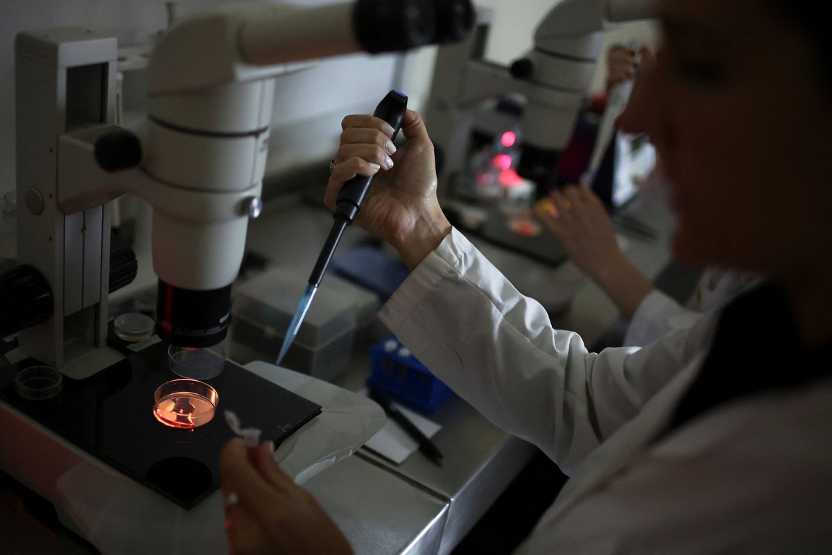 Keelud ei pidurda. Tehnomiljardärid tahavad hakata tootma geenmuundatud beebisid