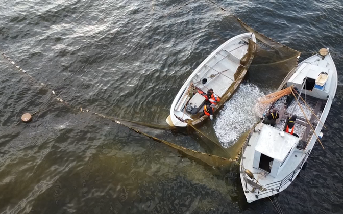 Järgmisel aastal väheneb Eesti kalapüügikvoot Peipsi järvel | Eesti