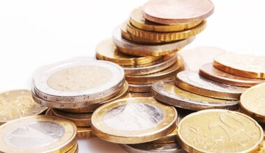 Tuntud lemmikloomapoe e-poe ja kaupluste hinnavahe tekitas kliendis segadust