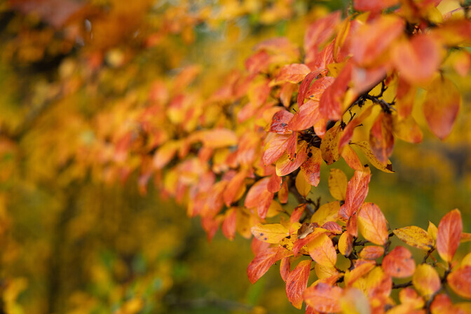 Reedel on oodata soojemat ilma | ilm