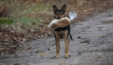 Ukraina teatas rünnakust Venemaa Krasnodari krais asuvale naftaterminalile | Välismaa