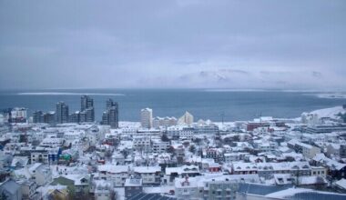 Aktivistide rühm soovib luua Islandi kaitseväge | Välismaa