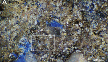 Eesti arheokeemik aitas leida Euroopa vanima sinise värvi jälje | Ajalugu