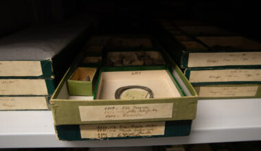 Muuseumide digikogud on üles leidnud vaid väike osa ühiskonnast | Kultuur