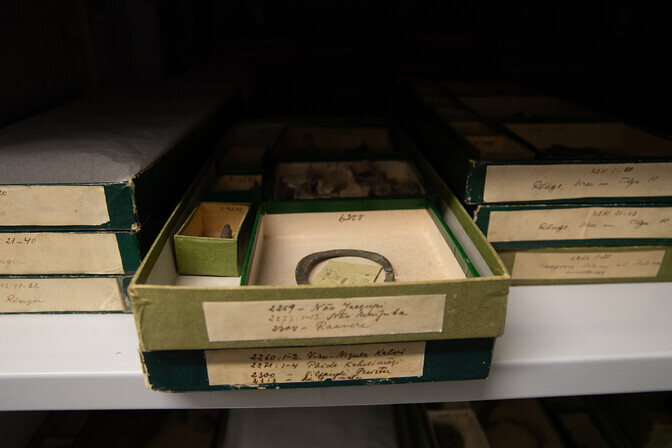 Muuseumide digikogud on üles leidnud vaid väike osa ühiskonnast | Kultuur