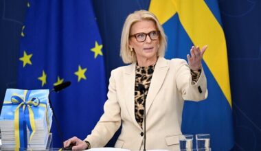 Rootsi rahandusminister näeb majanduses elavnemise märke | Majandus