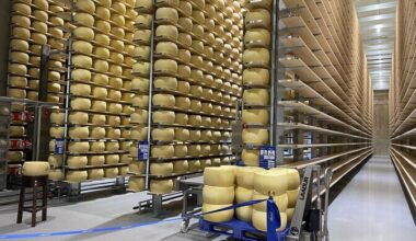 Galerii: Valio avas Võrus põhjamaade suurima juustulao | Majandus