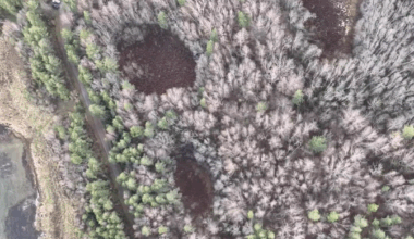 Haapsalus tekkis kehtiva detailplaneeringuga alale ehituskeeluala | Majandus