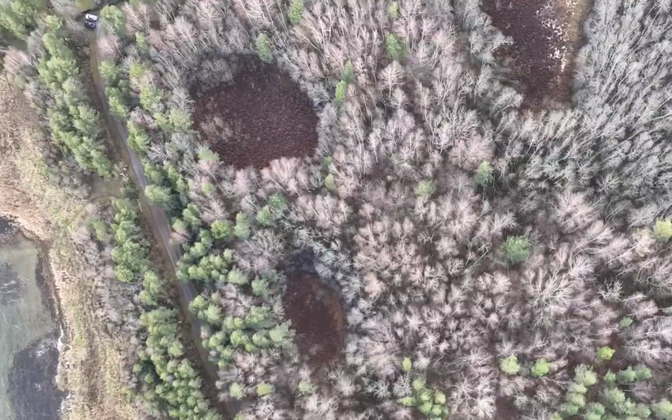 Haapsalus tekkis kehtiva detailplaneeringuga alale ehituskeeluala | Majandus