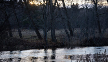 Pühapäev tuleb plusskraadidega | ilm