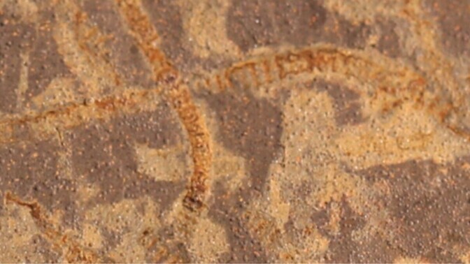 Masinõpe korjas iidseist kivimeist üles elu peenkeemilise järelkaja | Loodus