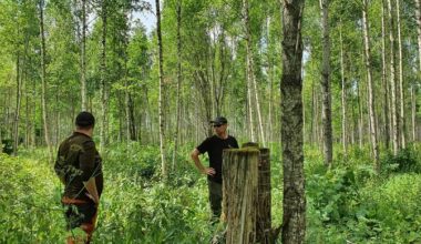 Soome metsaomanikud muretsevad kliimamuutuste mõju pärast metsadele | Keskkond