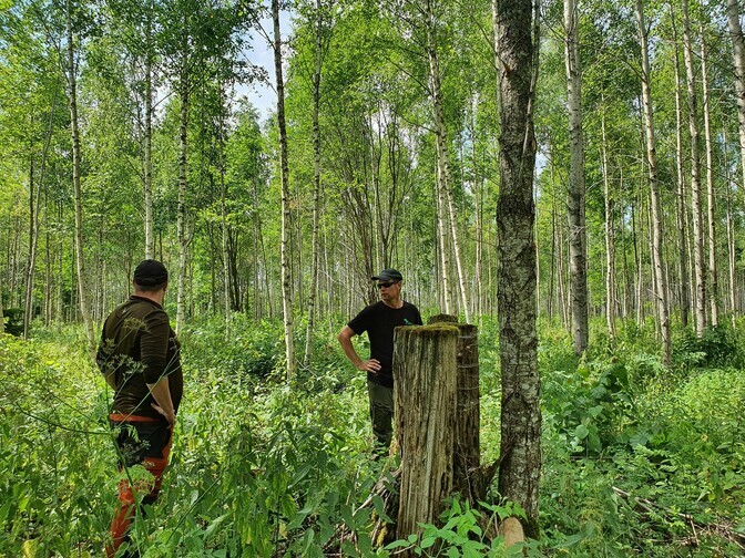 Soome metsaomanikud muretsevad kliimamuutuste mõju pärast metsadele | Keskkond